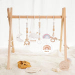 Little Dove Baby Play Gym