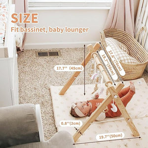 Little Dove Baby Play Gym