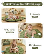 Baby Play Gym & Activity Mat