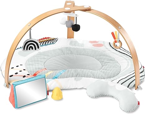 Skip Hop Baby Play Gym